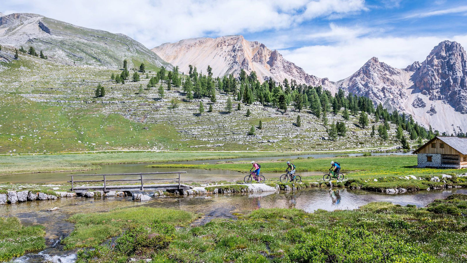Mountainbiken Kronplatz